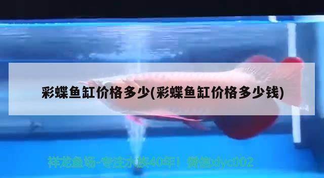 金龍魚最佳混養魚視頻播放大全：金龍魚混養視頻高清