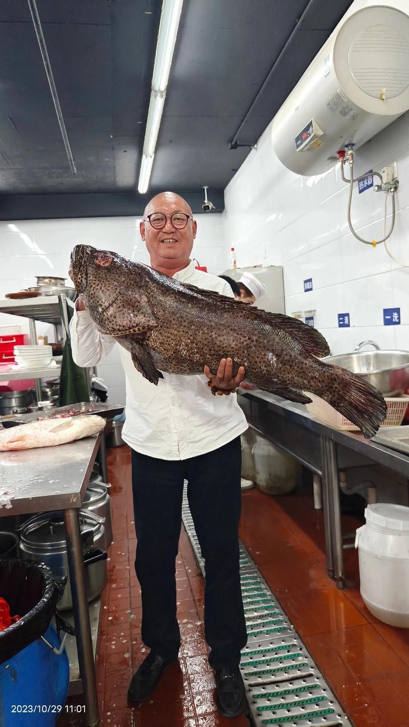 最大龍魚圖片高清