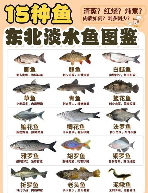 冷水魚大全品種圖片