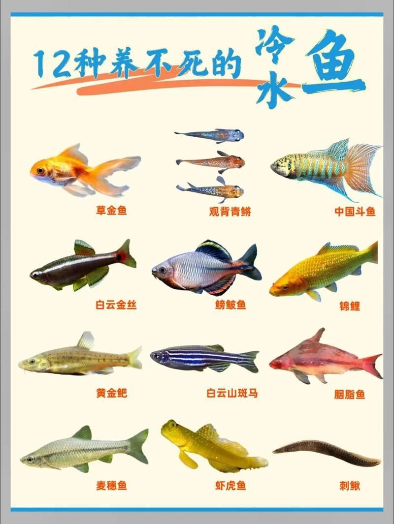 冷水魚大全品種圖片