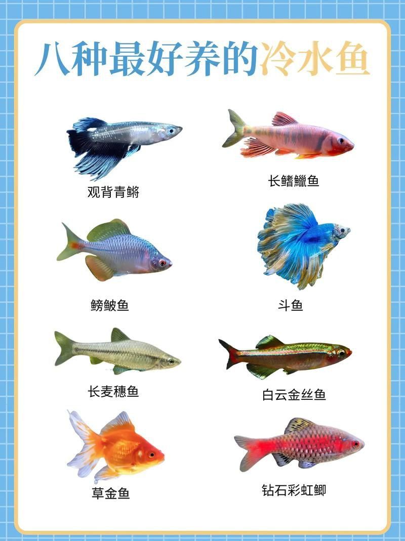 冷水魚大全品種圖片
