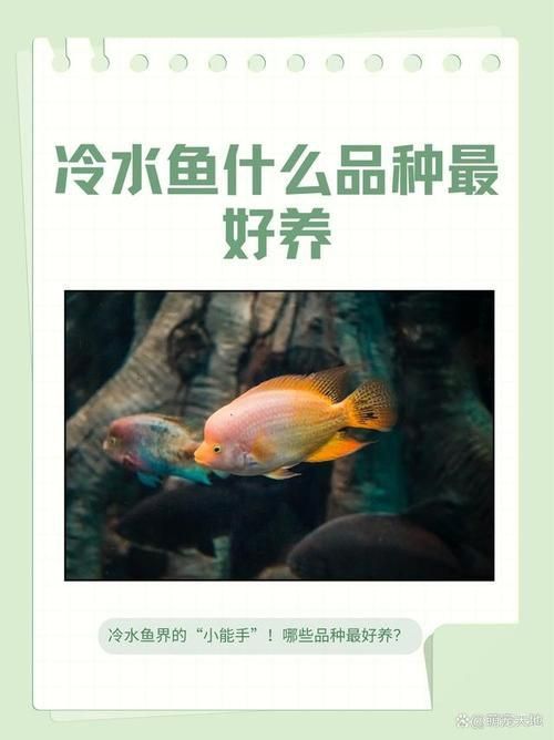 冷水魚大全品種圖片