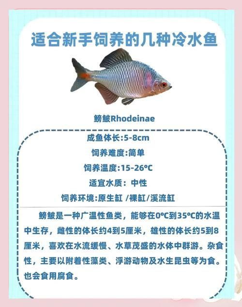 冷水魚大全品種圖片