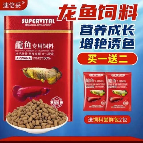 超血龍魚發色飼料推薦