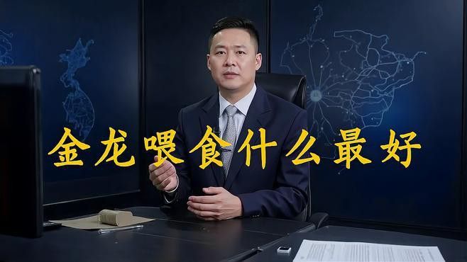 如何給過背金龍魚提供均衡營養？