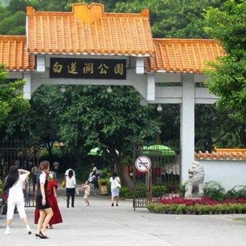 鯉魚嘴能當(dāng)作飛機(jī)懷嗎