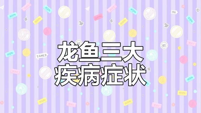 龍魚常見疾病中哪種最嚴重？