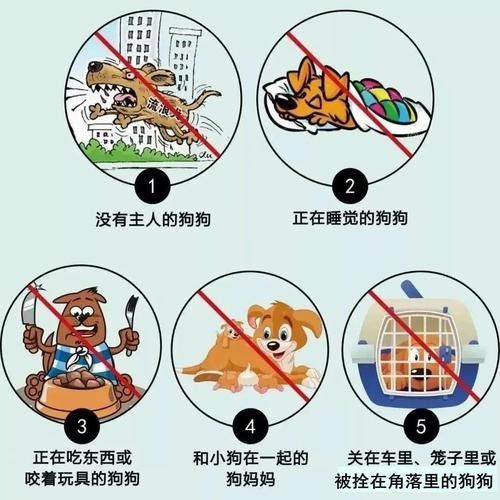 魚缸水綠了怎么解決，魚缸水質維護的日常技巧魚缸清道夫品種及飼養(yǎng)指南