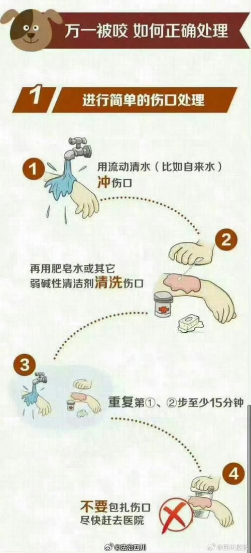 魚缸水綠了怎么解決，魚缸水質維護的日常技巧魚缸清道夫品種及飼養(yǎng)指南