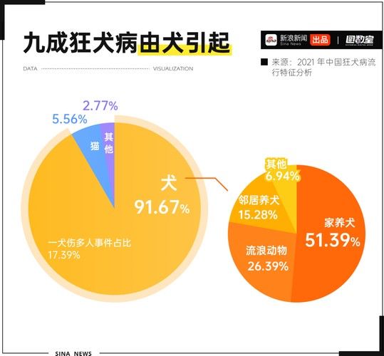 魚缸水綠了怎么解決，魚缸水質維護的日常技巧魚缸清道夫品種及飼養(yǎng)指南