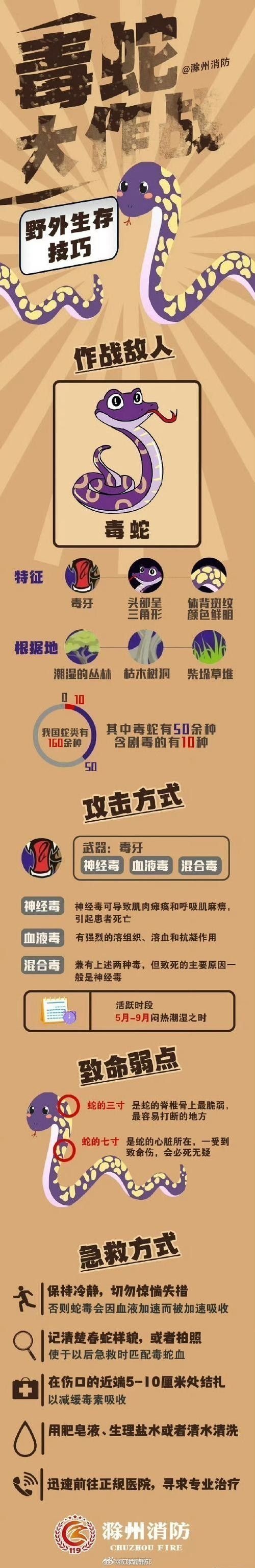 魚缸水綠了怎么解決，魚缸水質維護的日常技巧魚缸清道夫品種及飼養(yǎng)指南