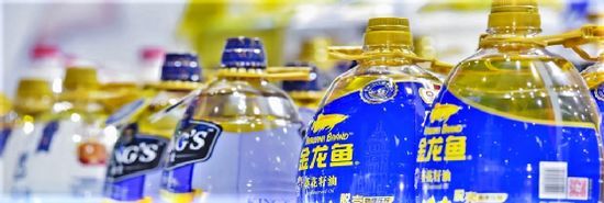 金龍魚變化（金龍魚業績波動原因）