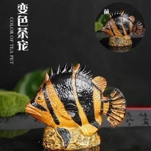 金龍魚變化（金龍魚業績波動原因）