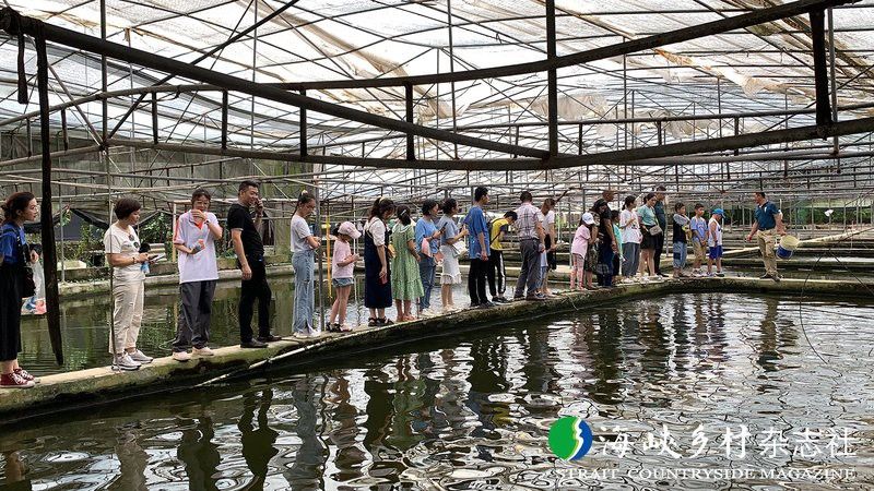 漳州龍魚繁殖基地在哪兒有