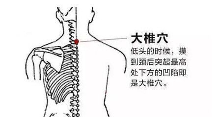 龍魚頭朝下尾巴朝上怎么治:龍魚頭朝下尾巴朝上怎么辦 龍魚百科 第2張 龍魚頭朝下尾巴朝上怎么治:龍魚頭朝下尾巴朝上怎么辦 龍魚頭朝下尾巴朝上怎么治:龍魚頭朝下尾巴朝上怎么辦 龍魚百科 第2張