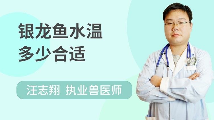 銀龍魚溫度多少度