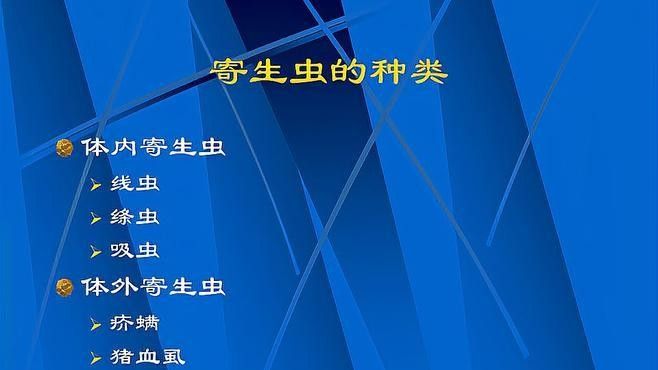 龍魚感染寄生蟲后應該如何處理？