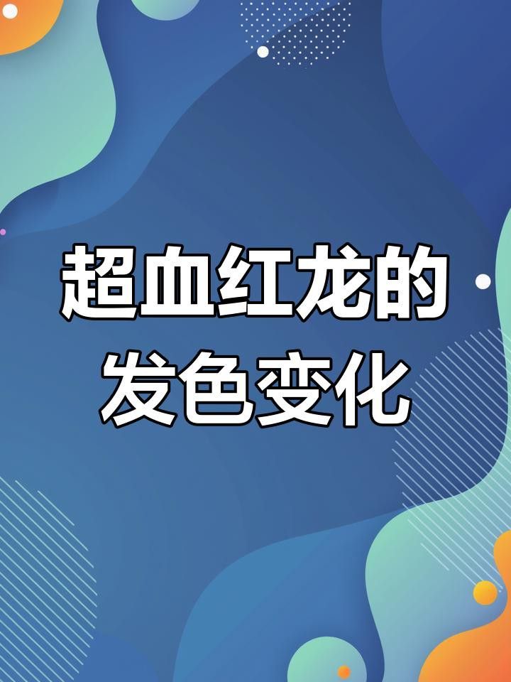 如何判斷超血龍魚是否發色成功？
