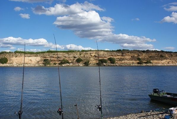 金龍魚銷量排名第幾:金龍魚品牌排名 龍魚百科 第1張 金龍魚銷量排名第幾:金龍魚品牌排名 金龍魚銷量排名第幾:金龍魚品牌排名 龍魚百科 第1張