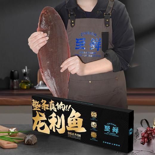 龍利魚旗艦店 龍魚百科 第2張 龍利魚旗艦店 龍利魚旗艦店 龍魚百科 第2張