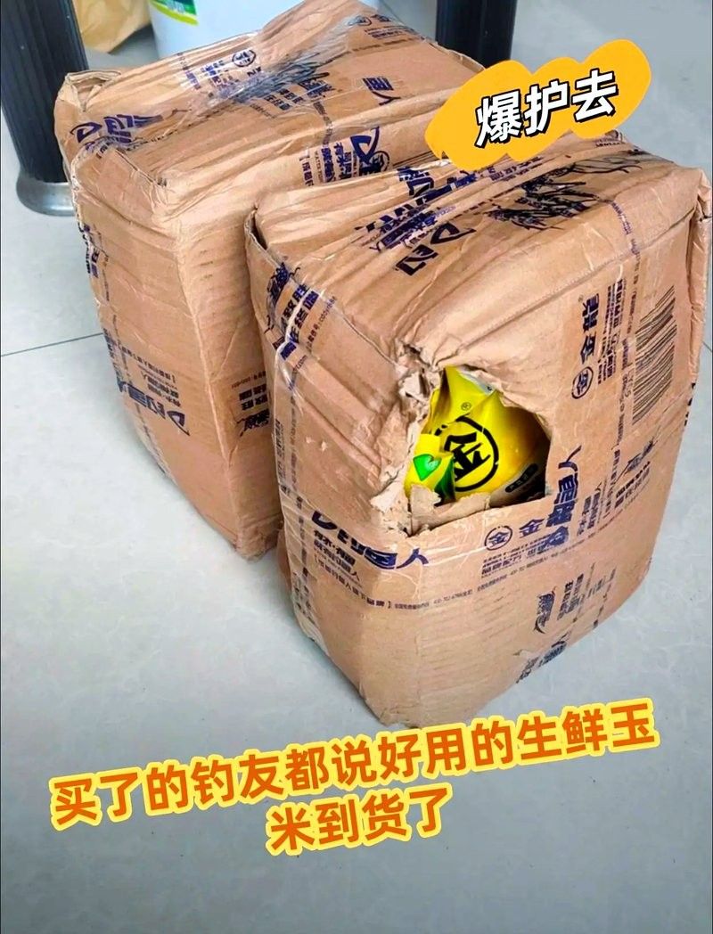 高背金龍魚怎么養才能長大呢