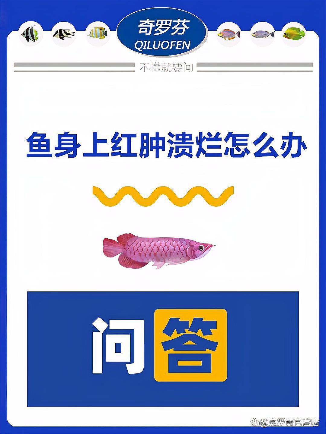 魚身上潰爛的原因