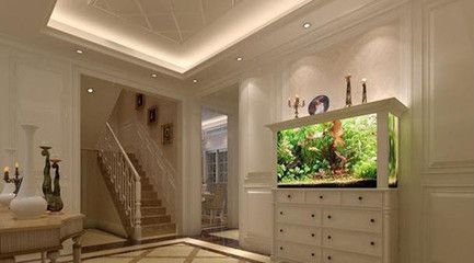 紅龍魚的飼養方法講解視頻教程全集下載百度網盤（紅龍魚飼養技巧）