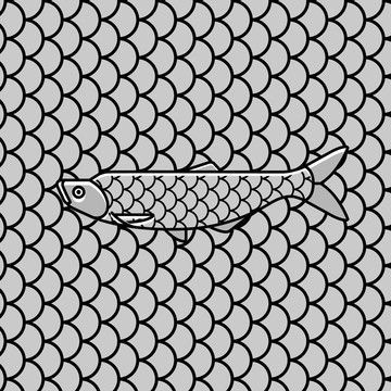 龍魚鱗上有白點為什么不能吃：龍魚鱗上有白點為什么不能吃龍魚鱗上有白點為什么不能吃