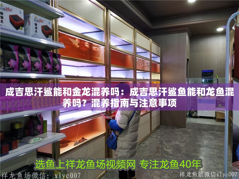成吉思汗鯊能和金龍混養嗎：成吉思汗鯊魚能和龍魚混養嗎？混養指南與注意事項