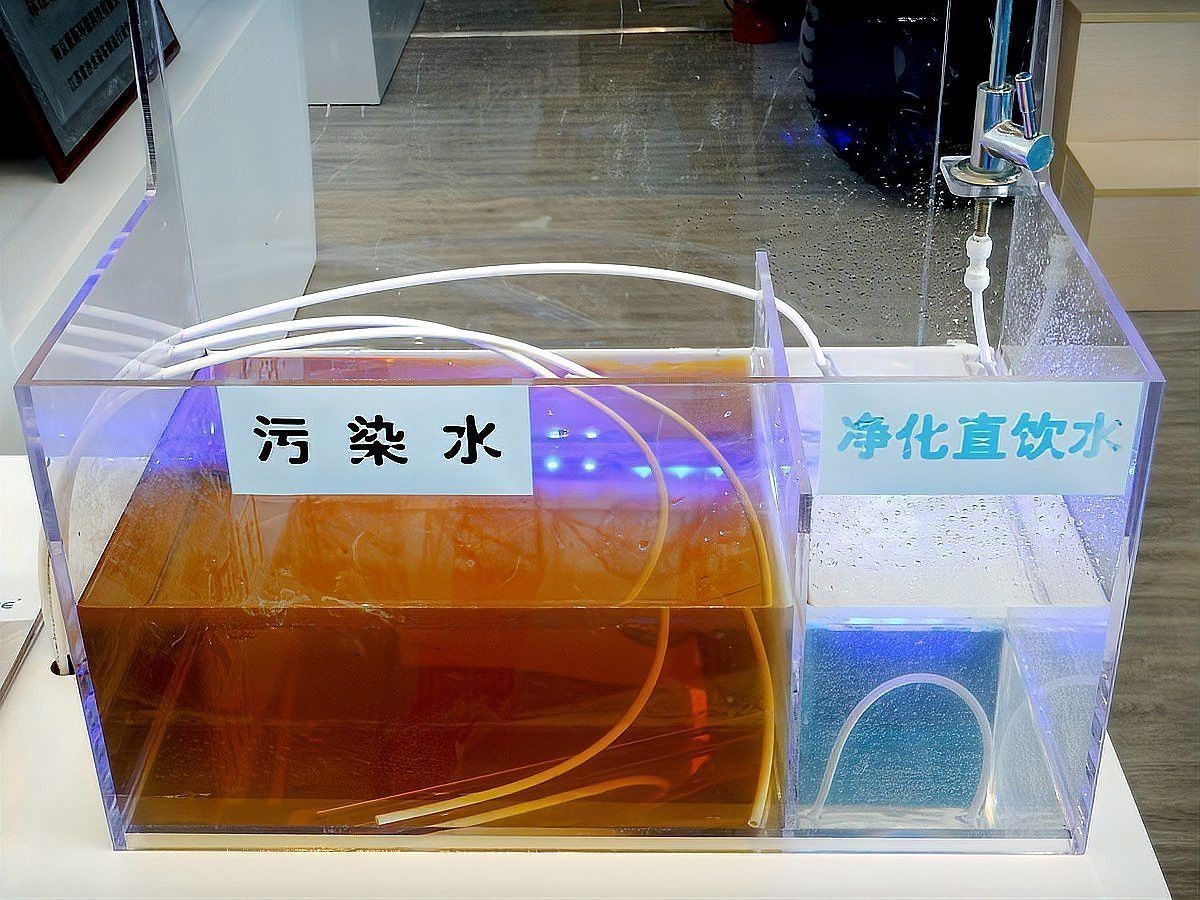 如何減少金龍魚和銀龍魚之間的沖突？