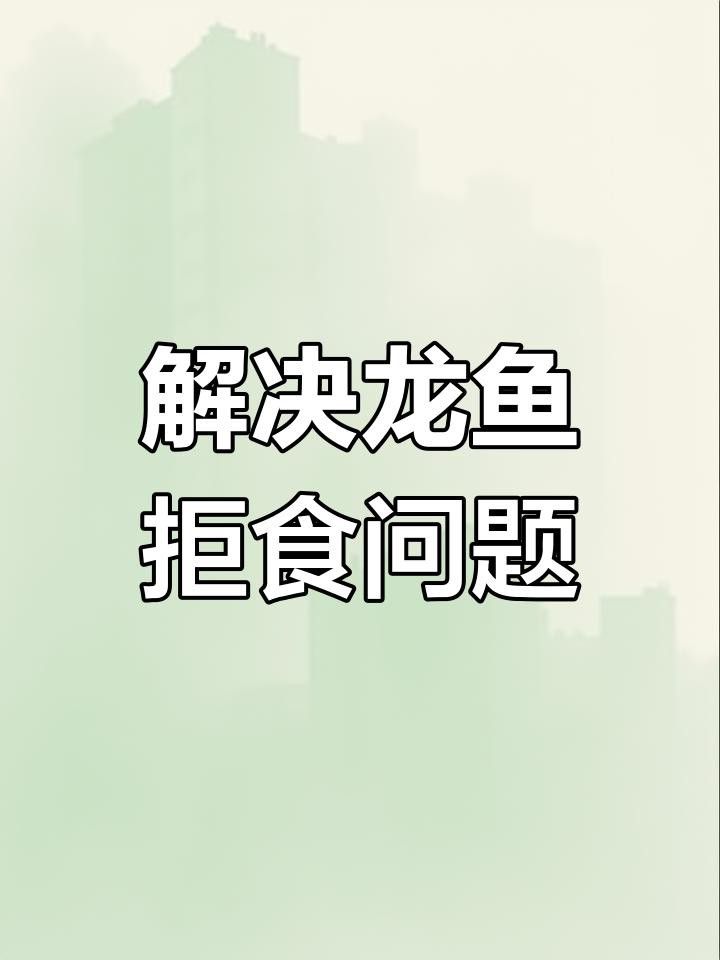 龍魚拒食怎么辦？