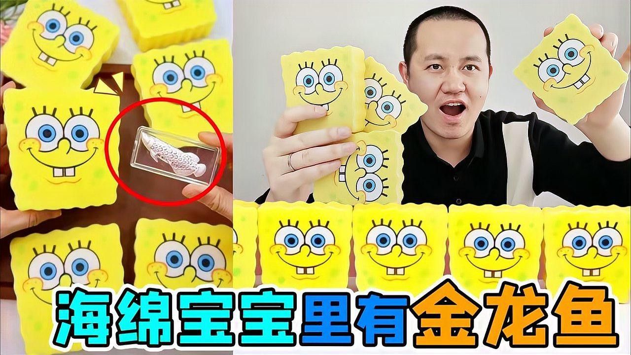 金龍魚放大100倍后會有哪些細節