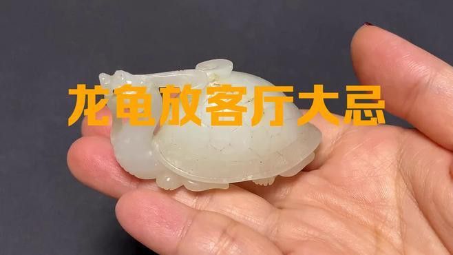 龍龜擺放有哪些禁忌？