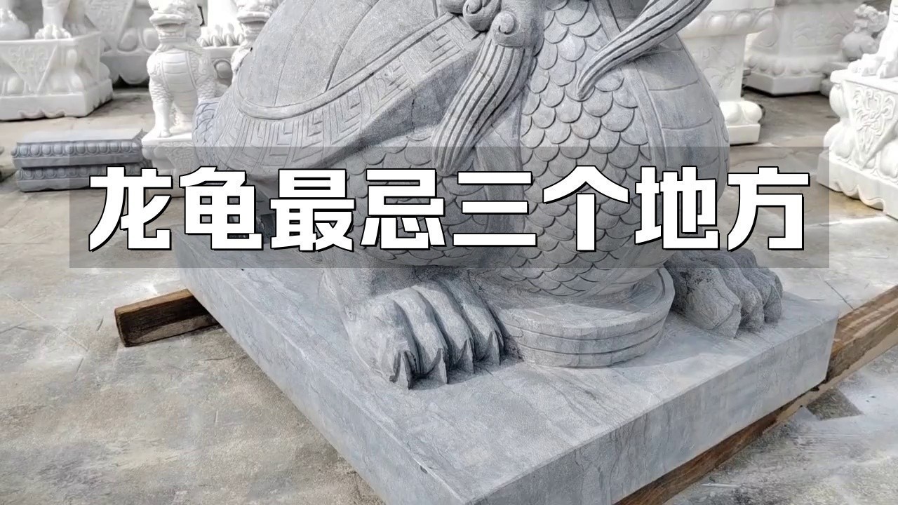 龍龜擺放有哪些禁忌？