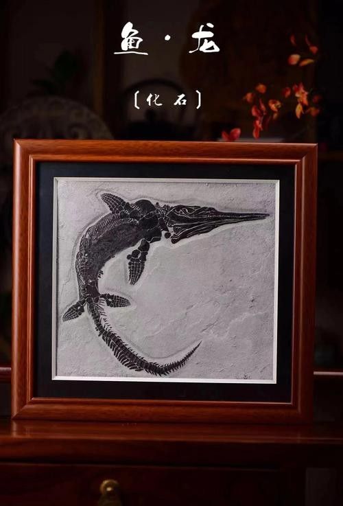 龍魚化石圖片大全高清