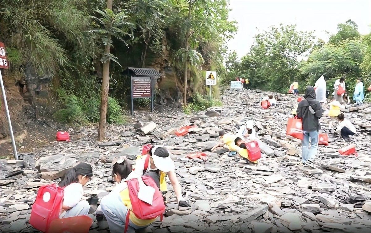 龍魚化石圖片大全高清