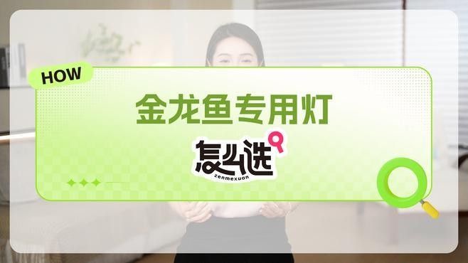 龍魚怎么用燈照出來