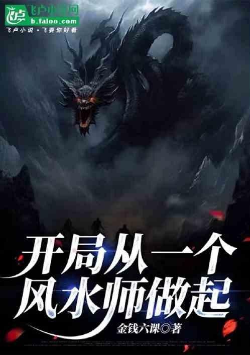 飛盧小說網有推薦的風水先生小說嗎？