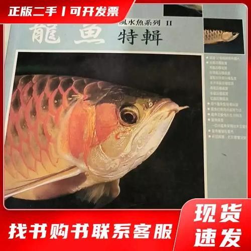 龍魚(yú)圖片及價(jià)格大全