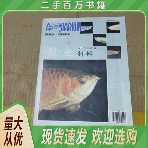 龍魚(yú)圖片及價(jià)格大全