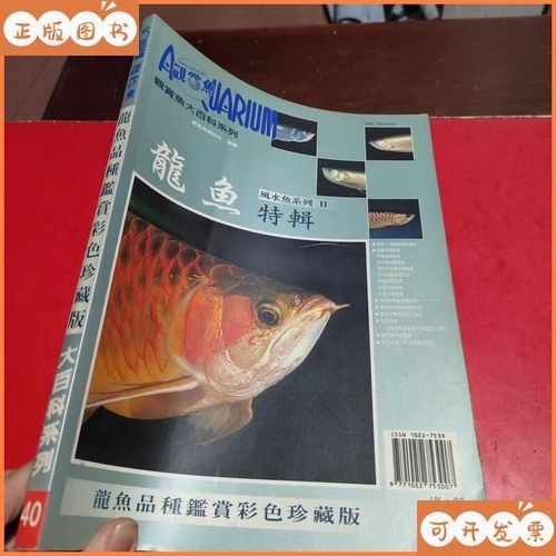 龍魚(yú)圖片及價(jià)格大全