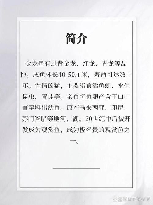 龍魚(yú)圖片及價(jià)格大全
