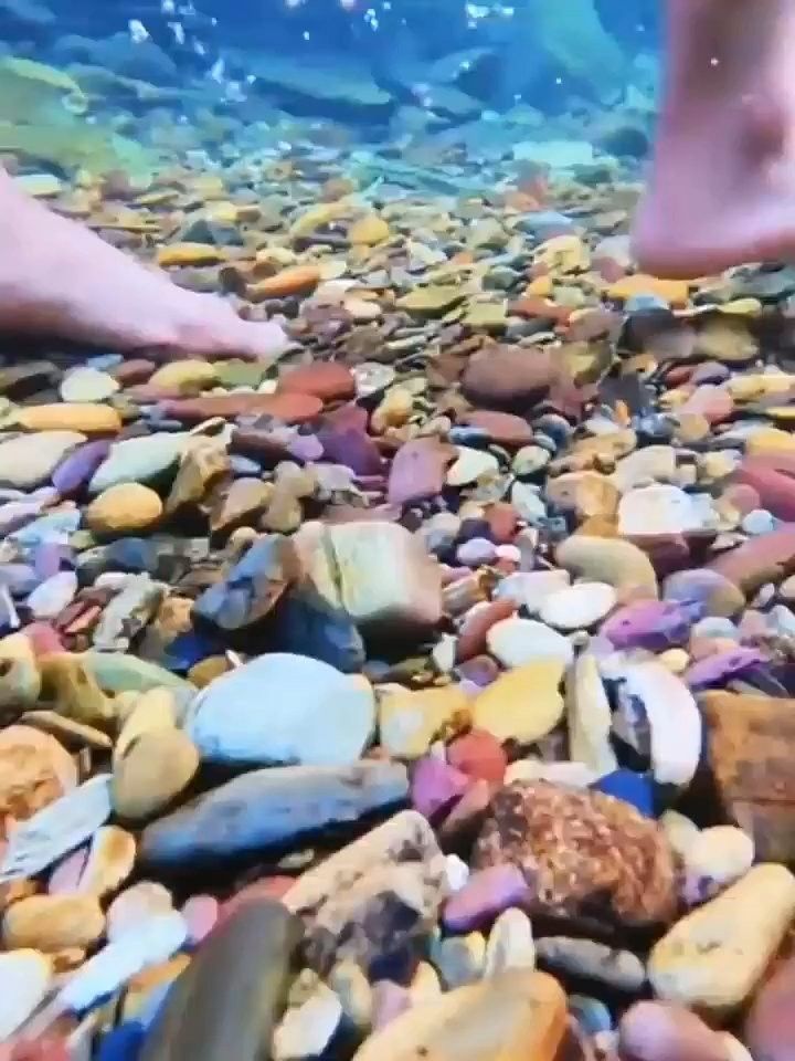 雷龍魚鉆進沙子里怎么辦