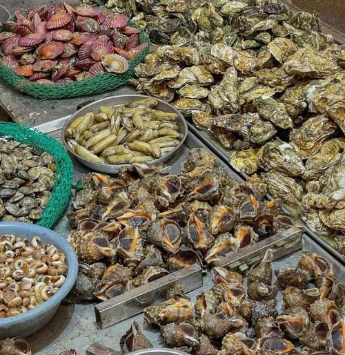 青島龍魚在哪賣比較好吃的