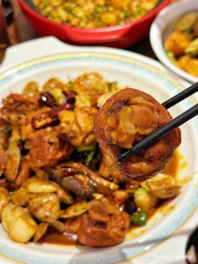 青島龍魚在哪賣比較好吃的