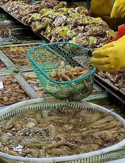 青島龍魚在哪賣比較好吃的