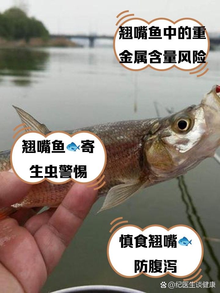 銀龍魚翹嘴的好不好