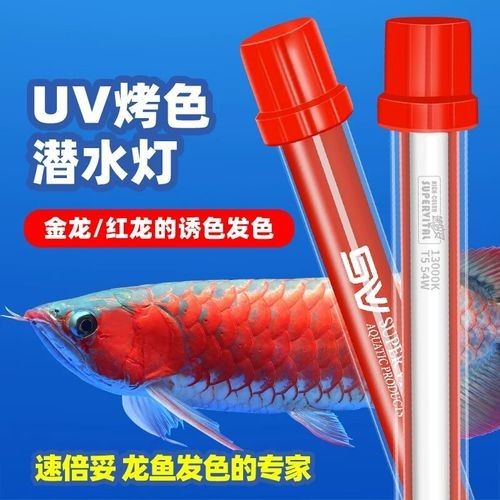 龍魚燈6700k和10000k好