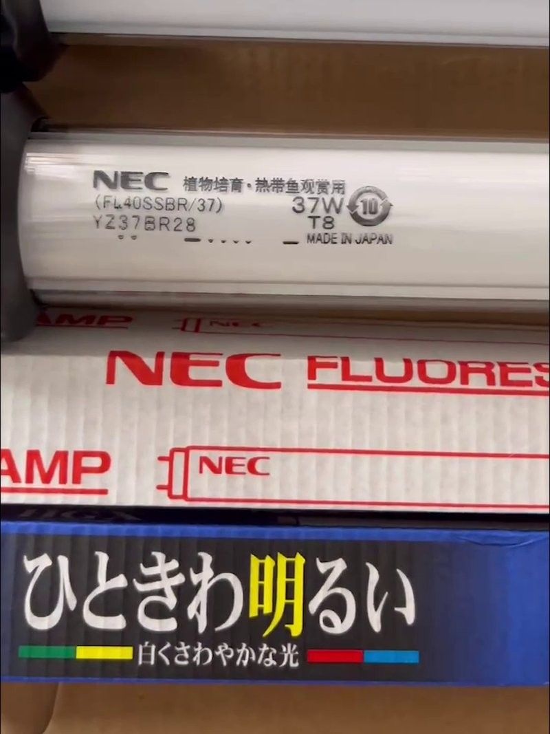 龍魚燈6700k和10000k好