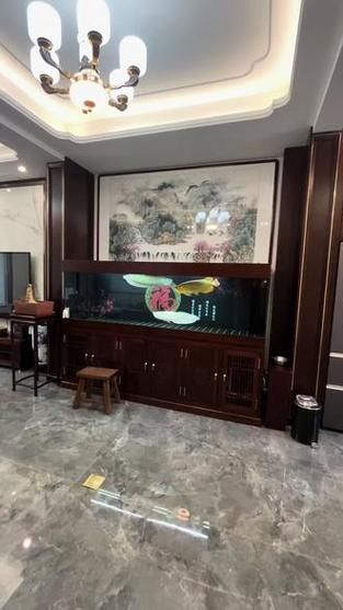 銀龍魚小缸可以養(yǎng)嗎圖片視頻